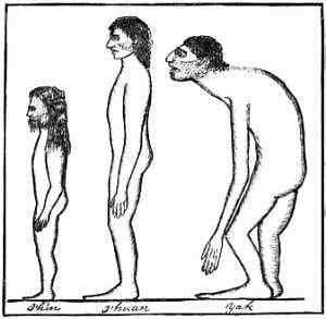 Some Races of Man