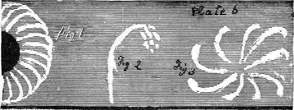 Vortexian Currents