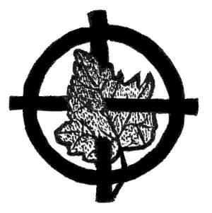 Symbol of the Creator’s Name