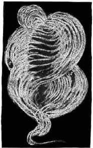 Vortex Development, Stage 3