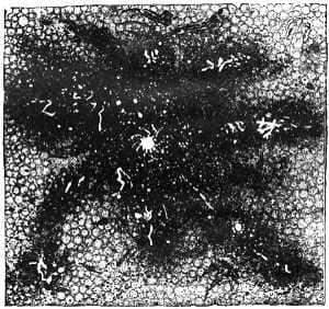The Earth in Hyarti from Nebulae