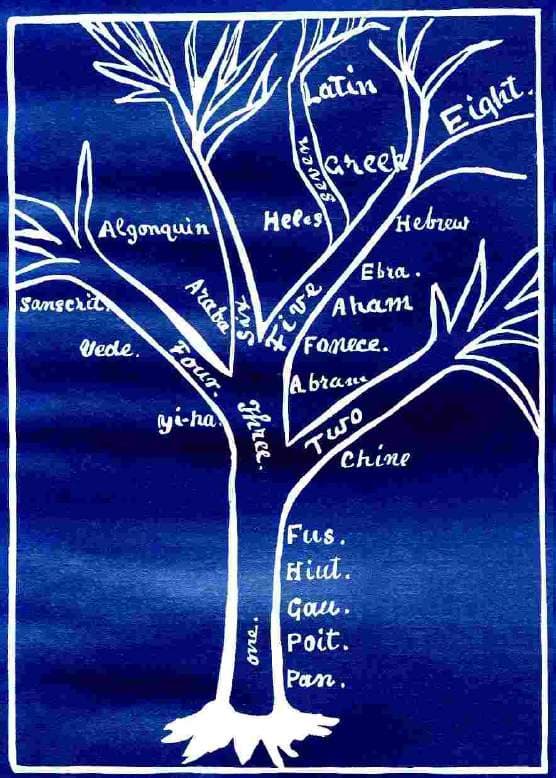 The Tree of Language