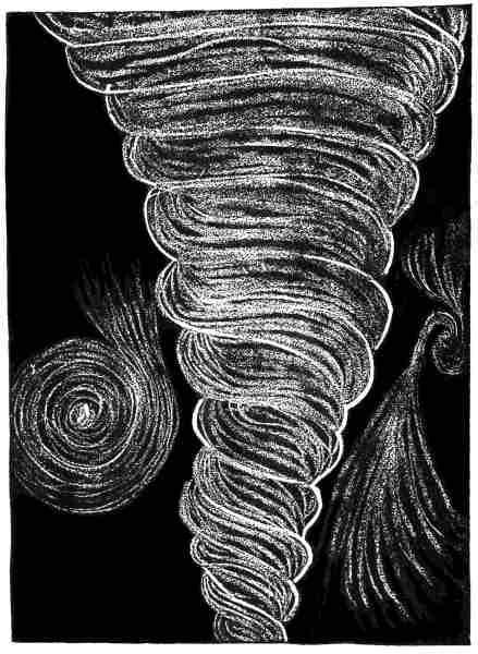 Primary Vortex