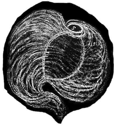 Third Age of Vortex